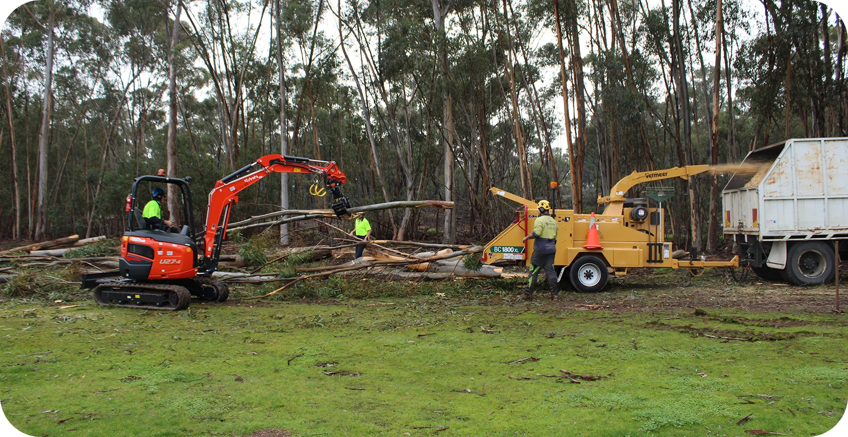Forestry workers use an excavator to feed tree limbs into a yellow Vermeer BC1800XL wood chipper and truck.