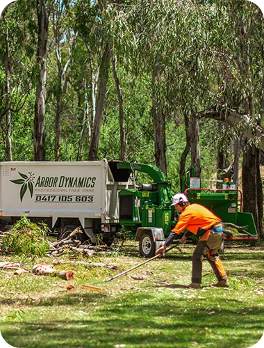 A forestry worker in an orange shirt rakes branches near an "Arbor Dynamics" chipper truck and green wood chipper.