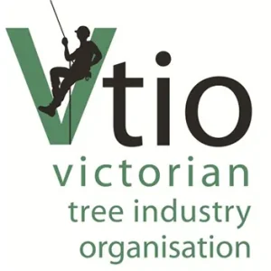 vtio